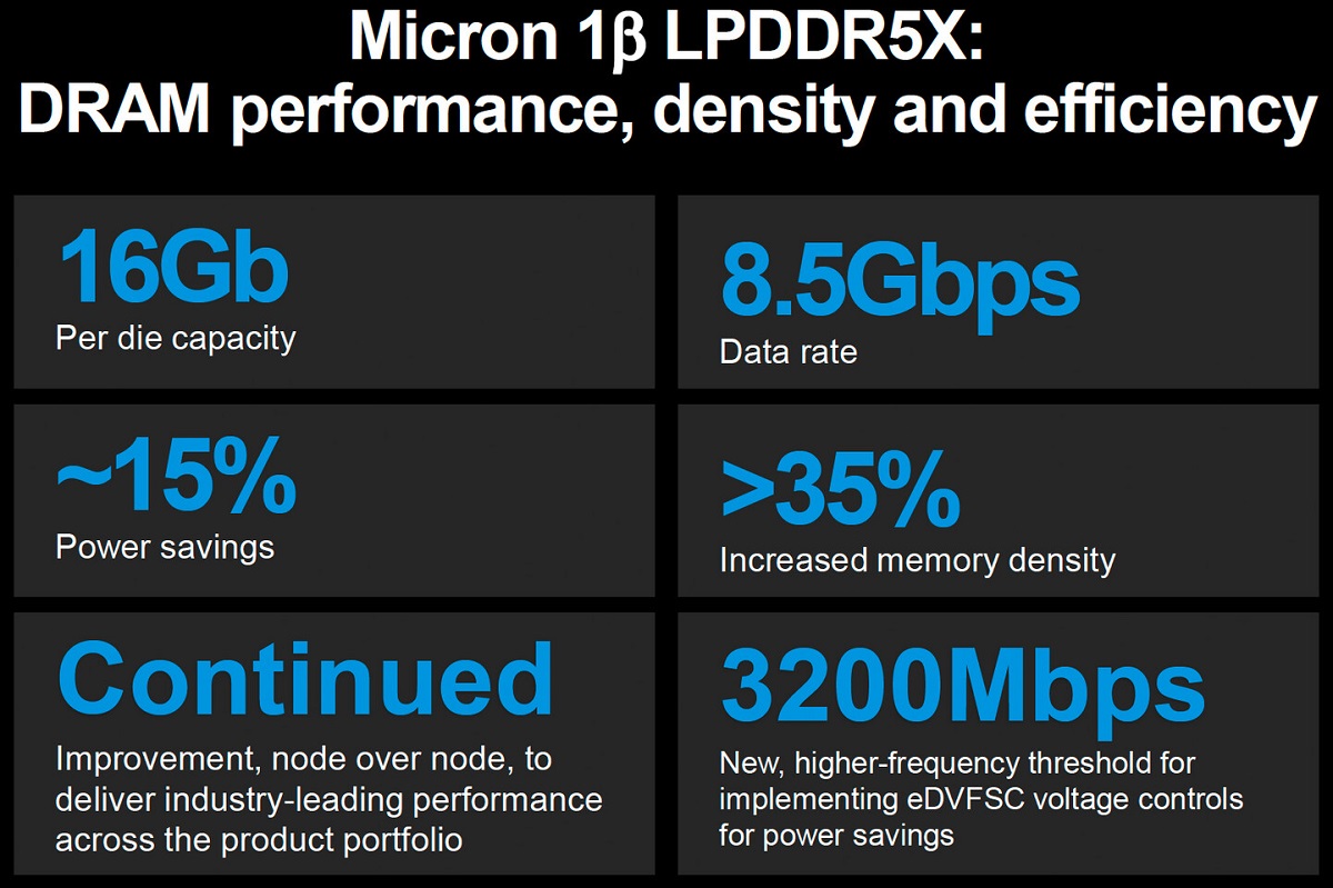 Micron_1beta_3.jpg